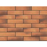 Клинкерная фасадная плитка под кирпич Retro Brick Curry 240*65*8 мм